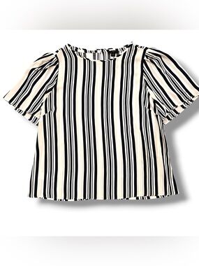 Ann Taylor Loft Womens Short Sleeve Navy White Striped Business Top Sz PL EUC C6